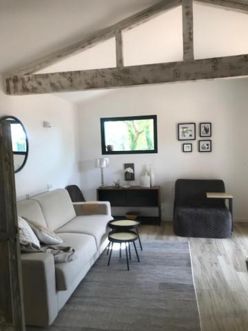 Petit Mas Provençal: Cozy Forest Retreat with Jacuzzi and Pool Saint-Paul-en-Foret Exterior photo